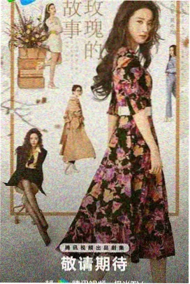 掌珠电影2